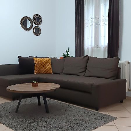 Appartamento Baou House 1 Metsovo Esterno foto