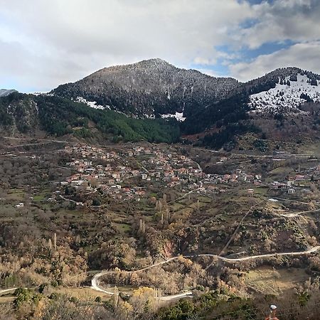 Appartamento Baou House 1 Metsovo Esterno foto