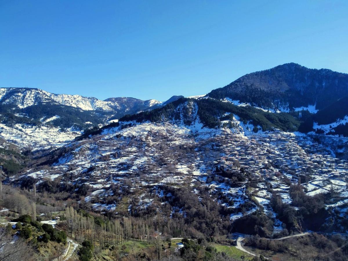 Appartamento Baou House 1 Metsovo Esterno foto