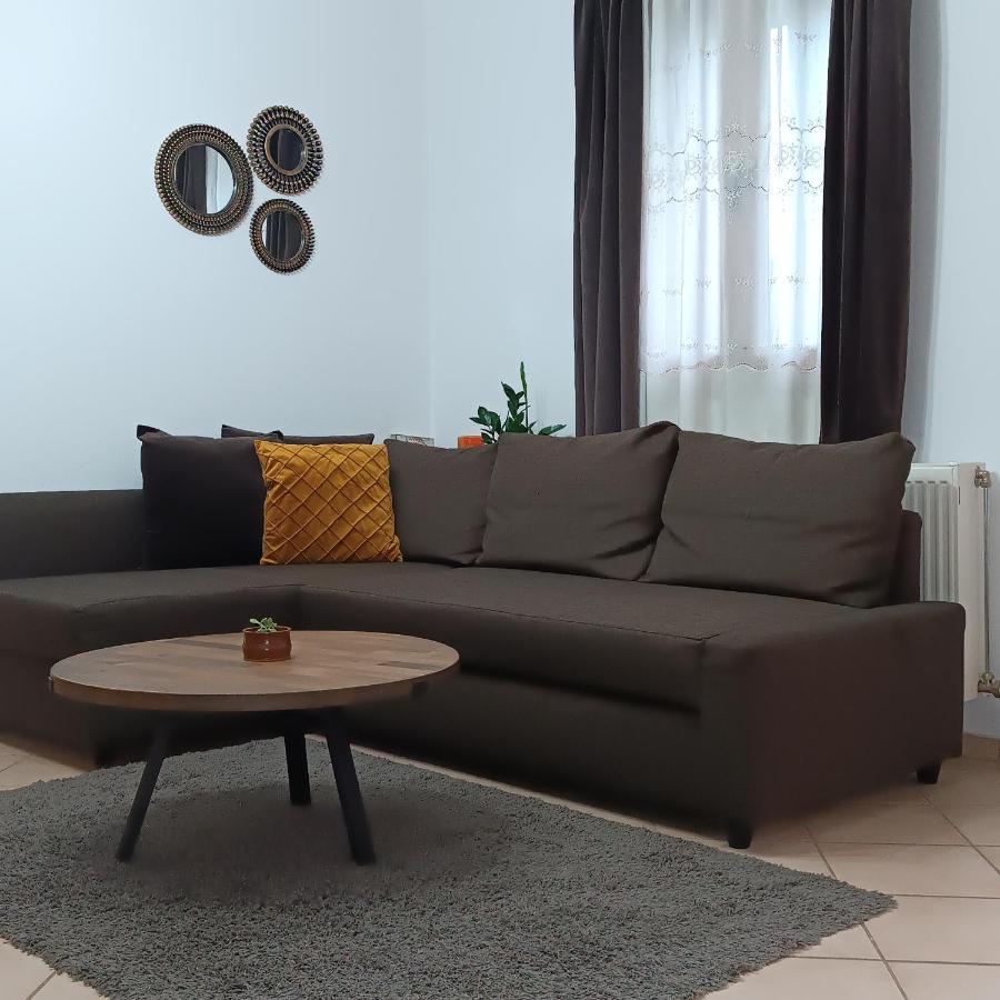 Appartamento Baou House 1 Metsovo Esterno foto